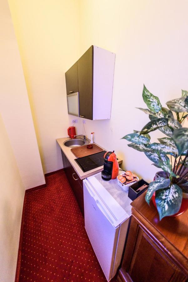 Apartament Baroc Тімішоара Екстер'єр фото
